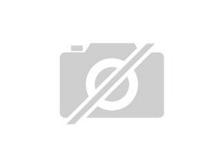 0. 1 von 2022 Königspython mit Herkunftsnachweis